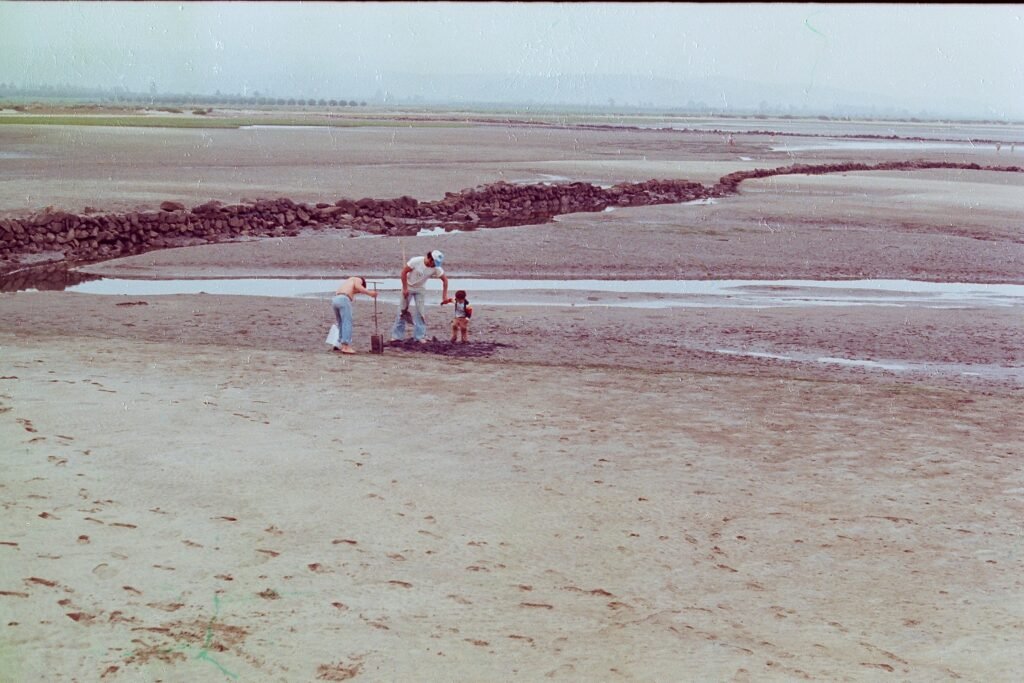 Estero de Punta Banda con Cercos de Piedra 1979