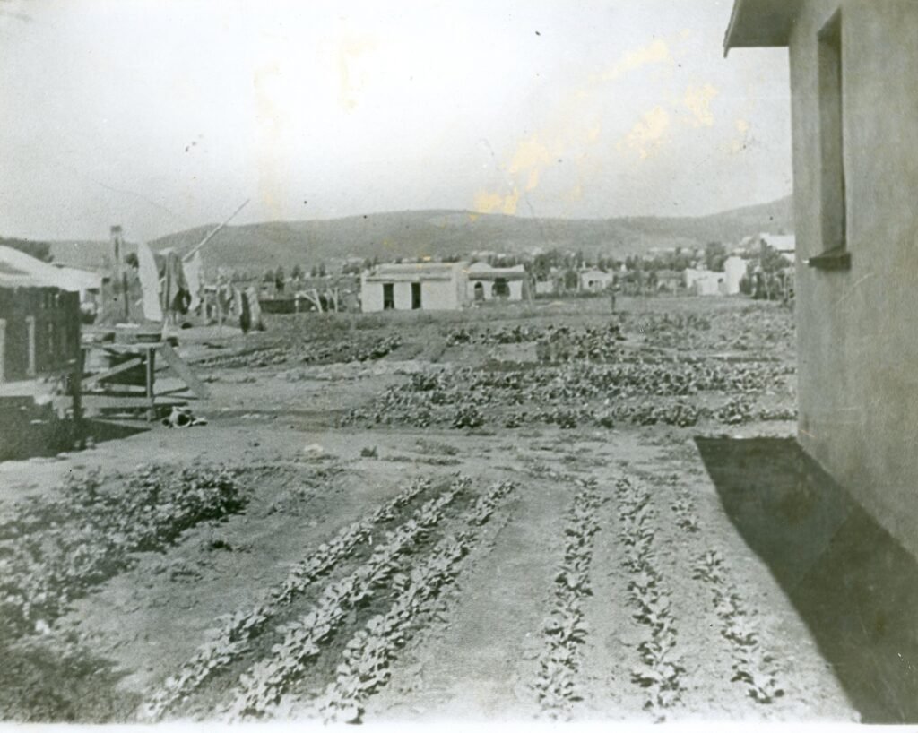 Casa de la Fam. Bernaldez. Col. obrera. Principios de 1940